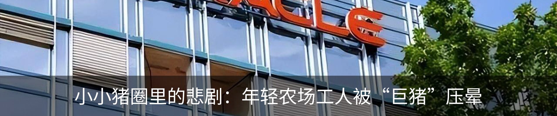 新闻中心